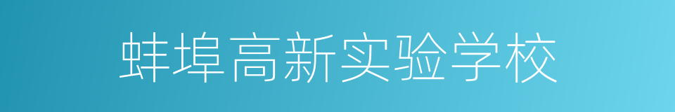 蚌埠高新实验学校的同义词