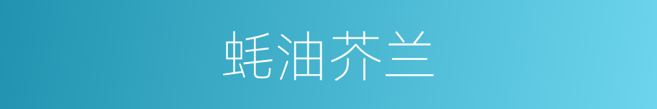 蚝油芥兰的同义词