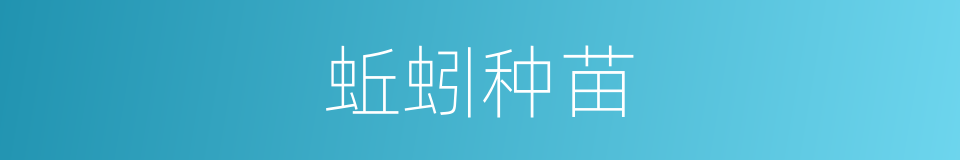 蚯蚓种苗的同义词