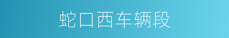 蛇口西车辆段的同义词