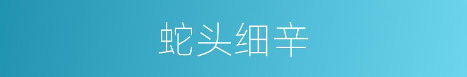 蛇头细辛的同义词