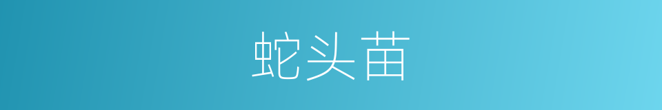 蛇头苗的同义词