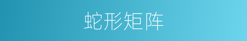 蛇形矩阵的同义词