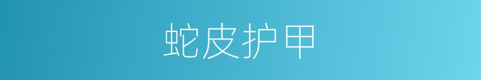 蛇皮护甲的同义词