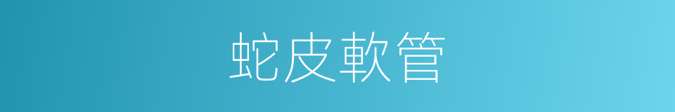 蛇皮軟管的同義詞