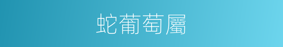 蛇葡萄屬的同義詞