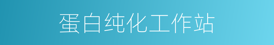 蛋白纯化工作站的同义词