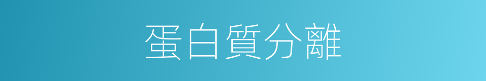 蛋白質分離的同義詞