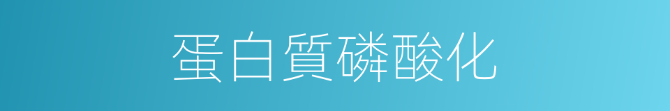 蛋白質磷酸化的同義詞