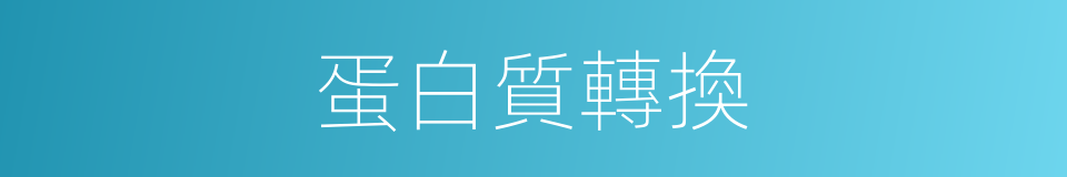 蛋白質轉換的同義詞