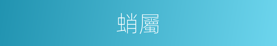 蛸屬的同義詞