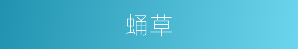蛹草的同义词