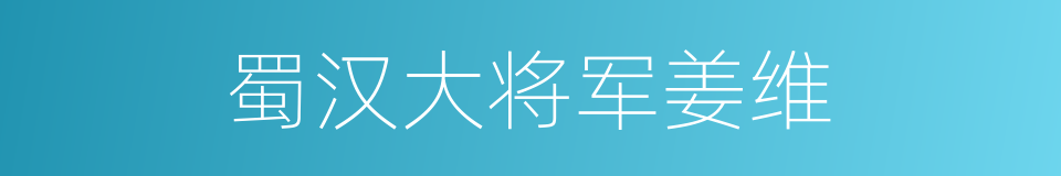 蜀汉大将军姜维的同义词