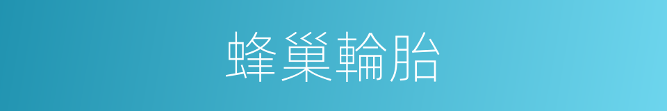 蜂巢輪胎的同義詞