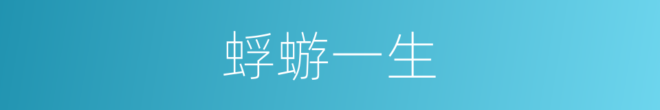 蜉蝣一生的同义词