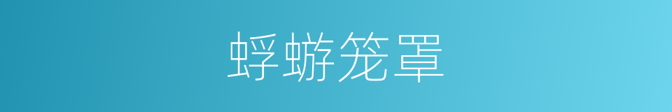 蜉蝣笼罩的同义词