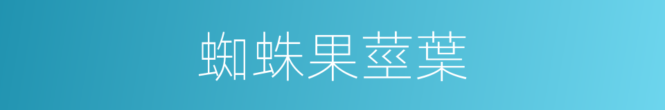 蜘蛛果莖葉的同義詞