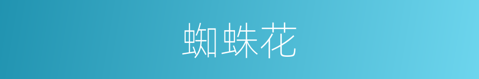 蜘蛛花的同义词