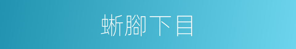 蜥腳下目的同義詞