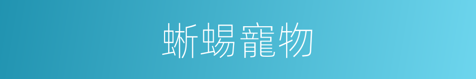 蜥蜴寵物的同義詞