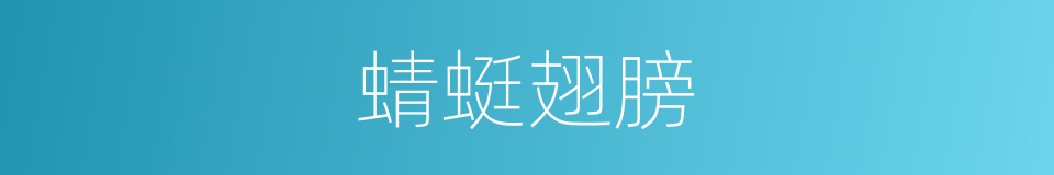 蜻蜓翅膀的同义词