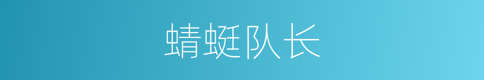 蜻蜓队长的意思