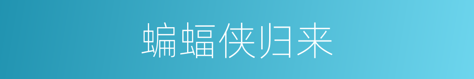 蝙蝠侠归来的同义词