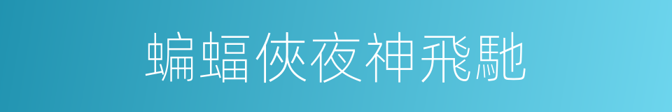 蝙蝠俠夜神飛馳的同義詞