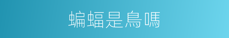 蝙蝠是鳥嗎的同義詞