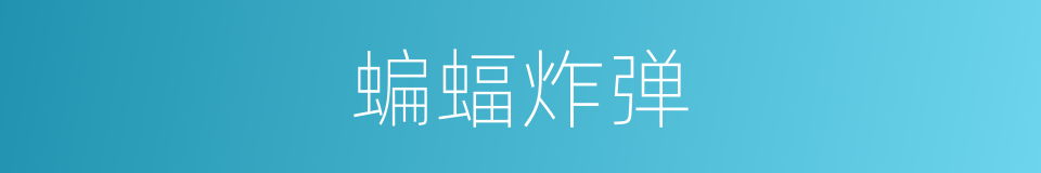 蝙蝠炸弹的同义词
