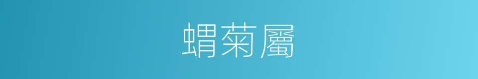蝟菊屬的同義詞
