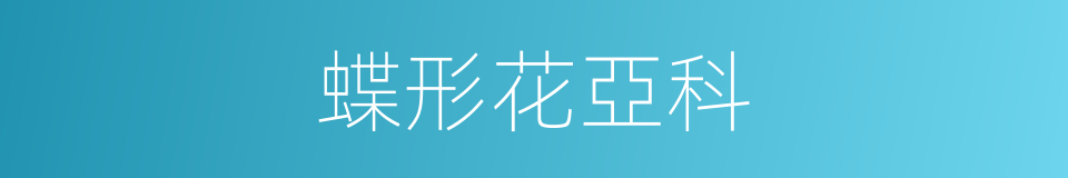 蝶形花亞科的同義詞