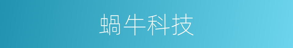 蝸牛科技的同義詞
