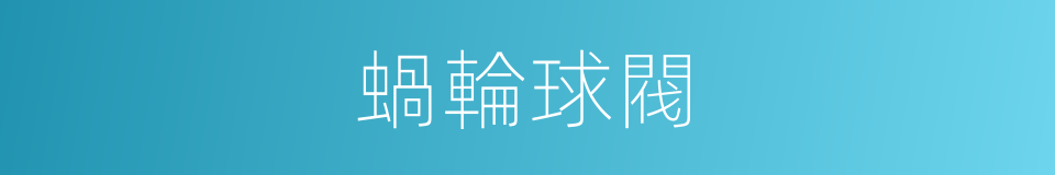 蝸輪球閥的同義詞