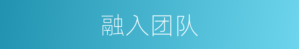 融入团队的同义词