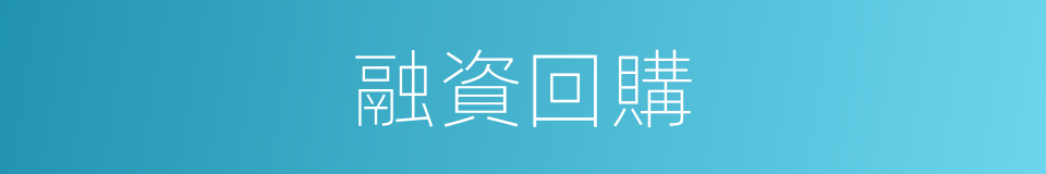 融資回購的同義詞