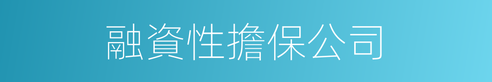 融資性擔保公司的同義詞