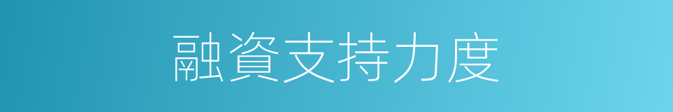 融資支持力度的同義詞