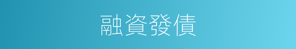 融資發債的同義詞