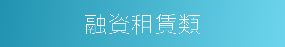 融資租賃類的同義詞