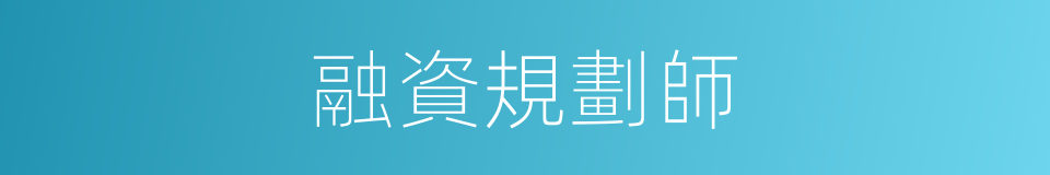 融資規劃師的同義詞