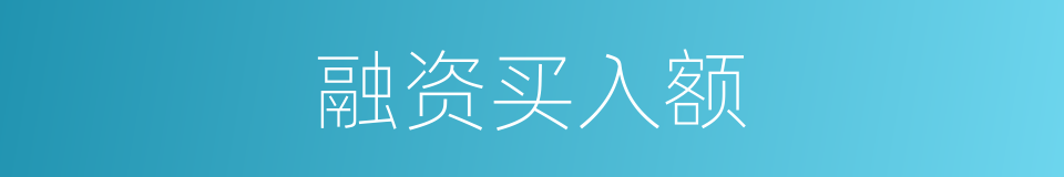 融资买入额的同义词