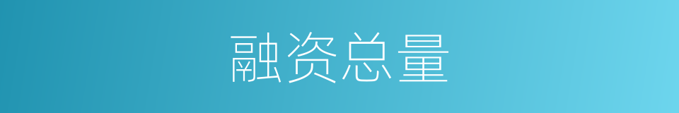 融资总量的同义词