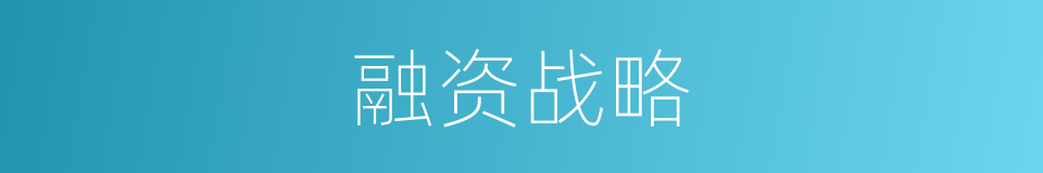 融资战略的同义词