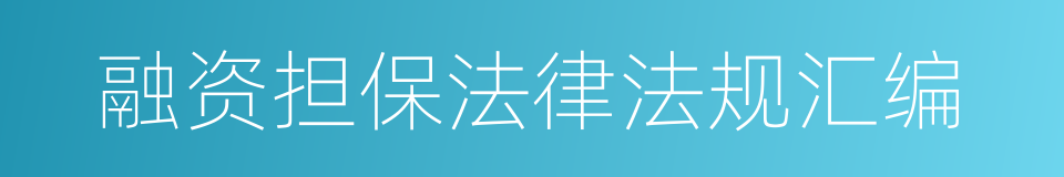 融资担保法律法规汇编的同义词