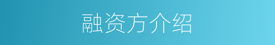 融资方介绍的同义词