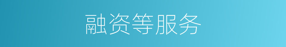 融资等服务的同义词