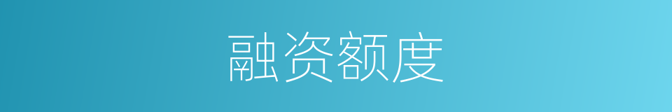 融资额度的同义词