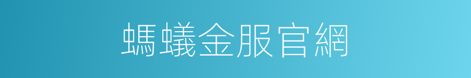 螞蟻金服官網的同義詞