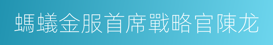 螞蟻金服首席戰略官陳龙的同義詞